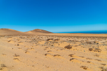 Fototapeta na wymiar Wide arid African landscape with blue sky and sand..