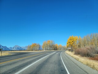 road in autumn forest