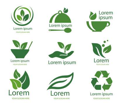 Eco logos set. Care for nature and the environment, natural and organic products, zero waste. Hand with leaflet, recycling and reuse badge. Flat vector collection isolated on white background