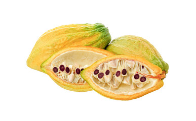 cocoa fruit isolited  on  transparent png