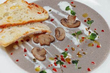 Mushroom cream soup and ingredients on grey background, close up