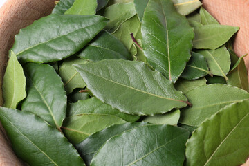 Many fresh bay leaves, closeup. Spices for cooking