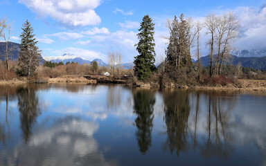 Fototapeta na wymiar Reflections of leafless trees in peaceful river