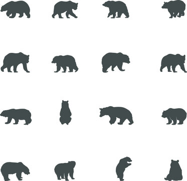 Bear silhouette, Bear animal silhouettes, Bear vector, Bear SVG.