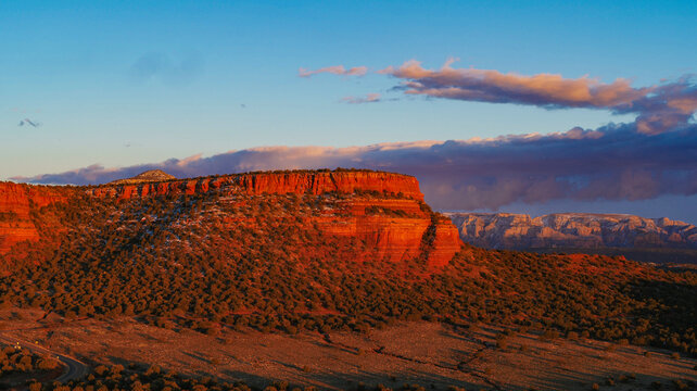 Arizona Sedna