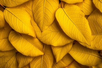 Abstract yellow organic texture background of leaves. Created with Generative AI technology