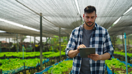 Male farmer working at organic farm. He checking vegetable at greenhouse. Lifestyle and farmer...