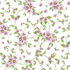 Seamless pattern, watercolor hand drawing, floral print. Blue clematis, pink flowers. Pattern for the design of gifts, postcards and packaging, fabric.