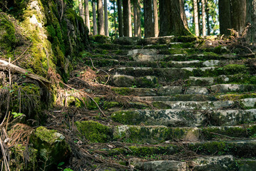 Moss-covered stone steps of Kumano Kodo