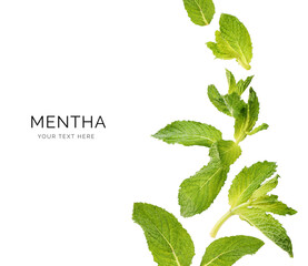 Creative layout made of mint on white background. Flat lay. Food concept. Macro  concept.