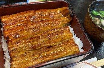 贅沢で美味しそうな「うな重」
