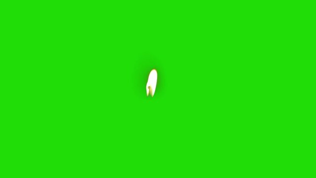 Candle Flame isolated on Green Screen or Chroma key. 