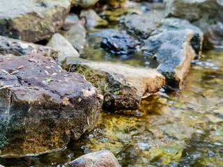 Obraz na płótnie Canvas A small stream in the campsite and stones along the creek.