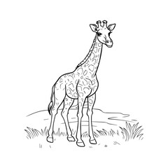 giraffe, cartoon, vector, for coloring