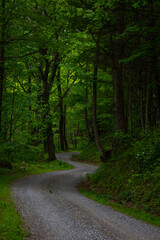 Fototapeta premium Curvy road in the Applachian Mountains