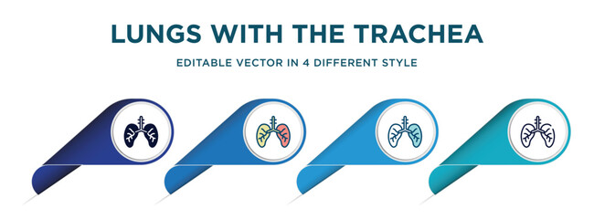 lungs with the trachea icon in 4 different styles such as filled, color, glyph, colorful, lineal color. set of vector for web, mobile, ui