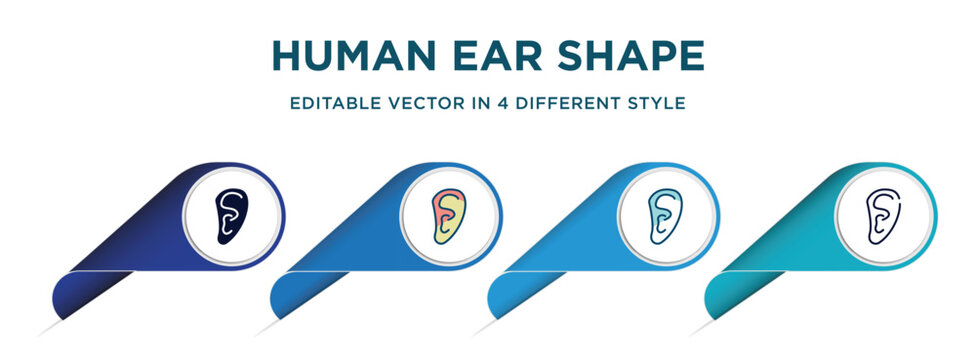 human ear shape icon in 4 different styles such as filled, color, glyph, colorful, lineal color. set of vector for web, mobile, ui