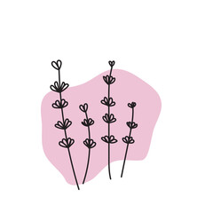 Lavender flower line art icon. Hand drawn vector illustration.