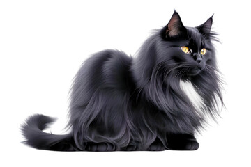 black cat isolated on white background. Generative Ai