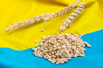 Ears of wheat and pile of wheat on Ukrainian flag. Close up.