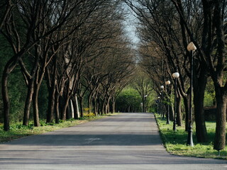100 million pixel high-definition artwork captured by Fuji camera GFX100S camera on the highway
highway