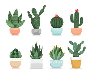 Set of cactus succulents plants in pots. Cacti houseplants indoor plants vector illustration.