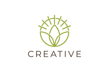 Sun and leaf logo design vector