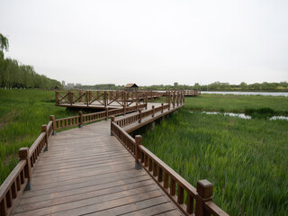 Fototapeta premium A 100 million pixel high-definition artwork park captured by Fuji camera GFX100S camera