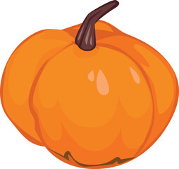 Pumpkin illustration orange squash ingredient