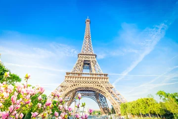  eiffel tour and Paris cityscape © neirfy