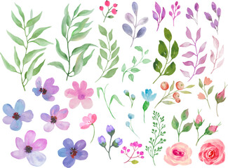 Watercolor floral set. Hand drwing illustration isolated on white background. Vector EPS.