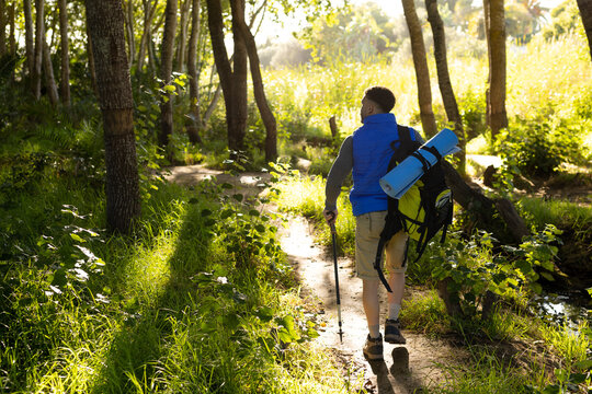 Biracial man wearing backpack and holding trekking pole, hiking in forest, with copy space