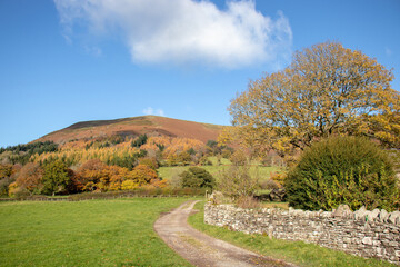 Fototapeta na wymiar autumn landscape in Wales.