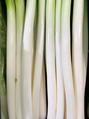 新鮮ねぎ　道の駅　野菜の町　深谷市