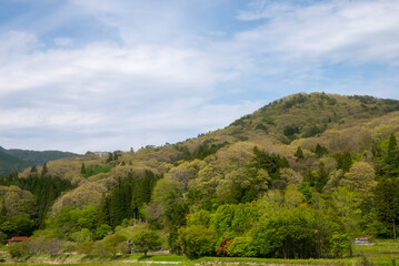 Fototapeta na wymiar 田舎の青空と山の風景
