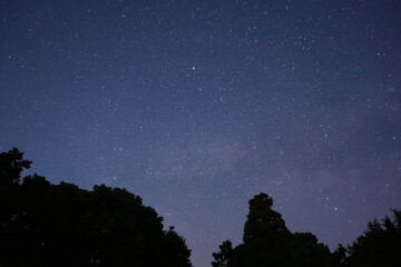 Fototapeta premium Starry Night, A Sky Full of Stars - 夜景 星 満天の星