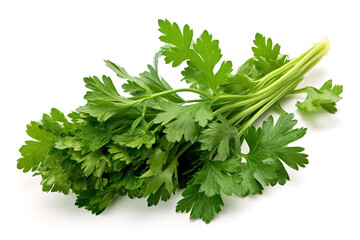A bunch of parsley on a white background