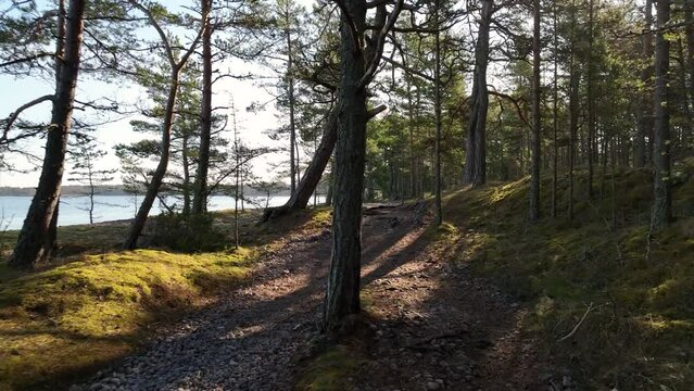 POV view of a relaxing walk in the forest by the sea in Hanko, Finland