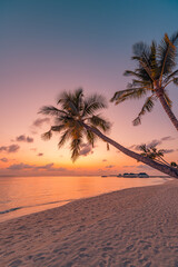 Paradise island palm trees sea sand beach. Panoramic beach travel landscape. Inspire tropical beach seascape horizon. Orange golden sunset sky calm tranquil relaxing summer vacation. Exotic holiday