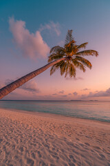 Lonely palm tree sea sand beach. Panoramic dream beach landscape. Inspire tropical seascape horizon. Orange and golden sunset sky calm tranquil relaxing summer vibes. Perfect wallpaper best background - obrazy, fototapety, plakaty