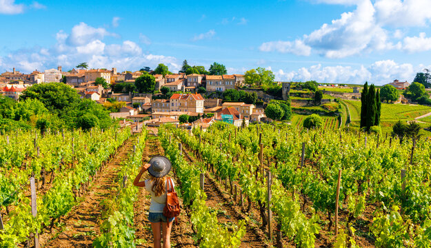 Woman tourist in green vineyard, Bordeaux region, Saint Emilion- France