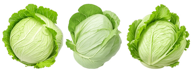 Collection of green cabbage isolated on Transparent Background, PNG File
