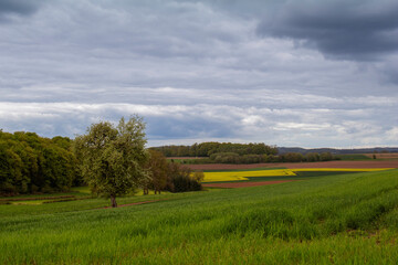 Landschaft Redingen