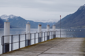A pier with white posts with a snowy mountain in the background.