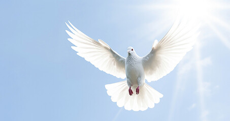 Fototapeta premium AI generative. White dove against blue sky