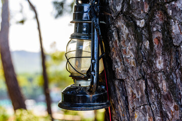 Old kerosene lamp hanging on branch of the tree