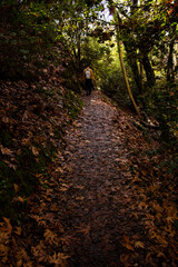 Unrecognized person hiking on a nature trail in the forest on autumn. Adventure in nature