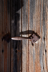 Wood background for red wooden door. Iron vintage entrance handle. Wood textures