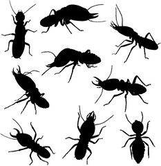 various poses of termites in black and white graphics, in motion and static,silhouette