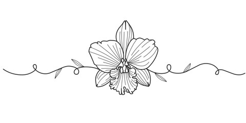 Orchid flower line art style vector illustration
